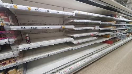 ForPost- Британцы бьют тревогу из-за дефицита еды в магазинах