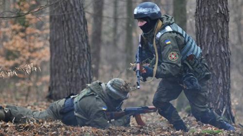 ForPost - На Украине отказываются от советского «Калашникова» в пользу винтовки «Укроп»