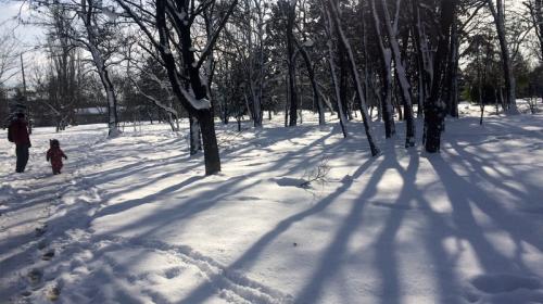 ForPost- На Крым надвигаются снега и морозы 