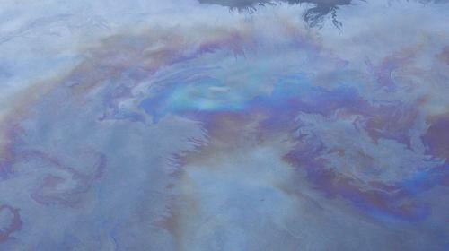 ForPost - Оранжевое море: вода в Ушаковой балке обрела радикальный цвет