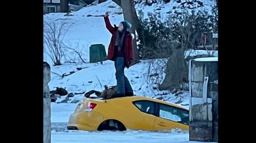 ForPost - Женщина сделала невероятные селфи на крыше автомобиля, тонущего в реке