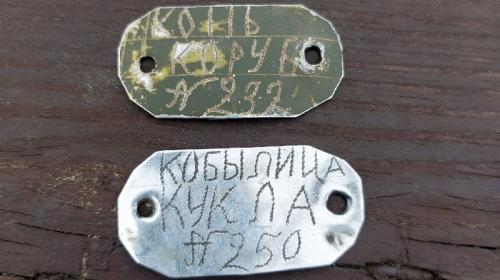 ForPost- На востоке Крыма нашли редкие самодельные жетоны боевых лошадей