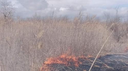 ForPost- В Крыму есть больше полутысячи мест, которым угрожают ландшафтные пожары