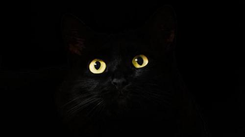 ForPost - «Черная кошка уже сбросила вазочку». Когда в России наступит дефолт 