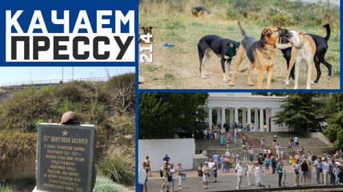 ForPost- Качаем прессу: Севастопольцев не больше миллиона, а собаки снова без приюта