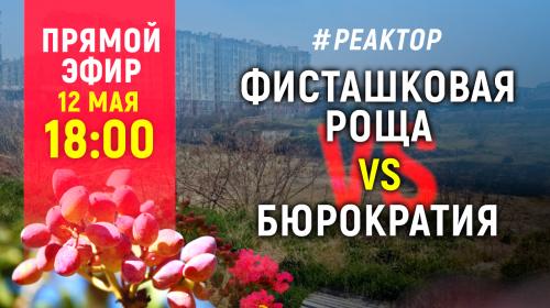 ForPost- Как в Севастополе деревья победили застройщиков и бюрократов – ForPost «Реактор»
