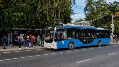 ForPost- Водитель севастопольского троллейбуса провалился в люк на голову пассажирки 