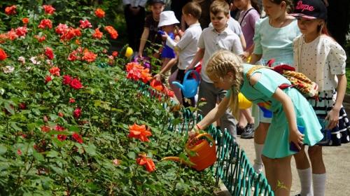 ForPost- В Москве для крымского музея воссоздали утраченный графский сорт роз