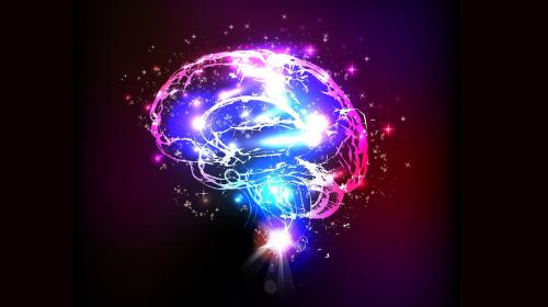ForPost - Психологи дали советы, как поддерживать свой мозг в лучшей форме