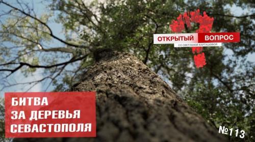 ForPost- Битва за деревья Севастополя: как защищается «зеленый щит»? 
