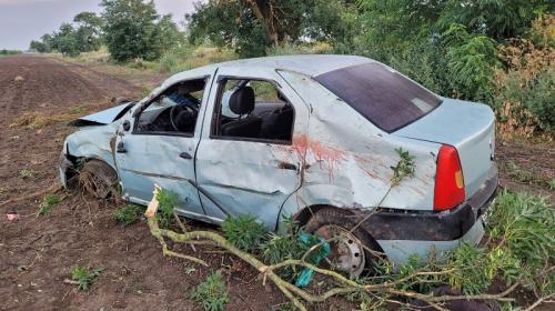 ForPost- На севере Крыма женщина насмерть разбилась, врезавшись в дерево