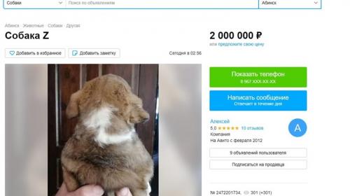 ForPost- На «Авито» продаётся Z-щенок за 2 миллиона рублей