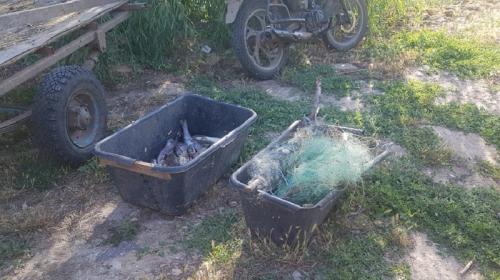 ForPost- На севере Крыма незадачливый рыбак «выловил» уголовное дело
