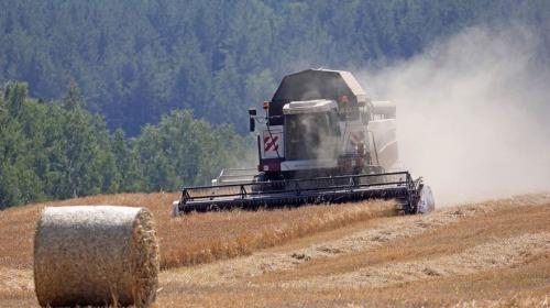 ForPost- Глава ИКАР Рылько спрогнозировал рекордный урожай зерновых в России