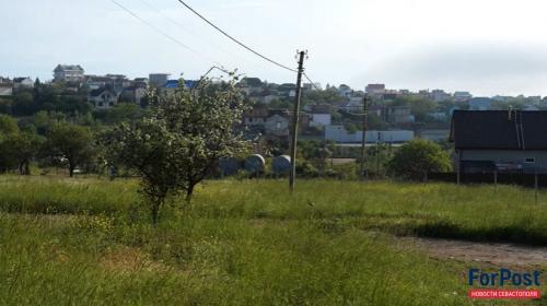 ForPost- Председатель садового товарищества в Севастополе попался на «распиле земли»