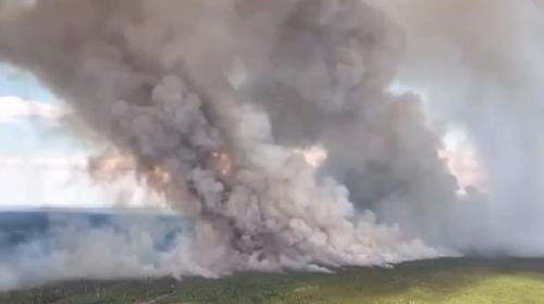 ForPost- Чиновники скрыли масштабы лесных пожаров и столицу затянуло гарью