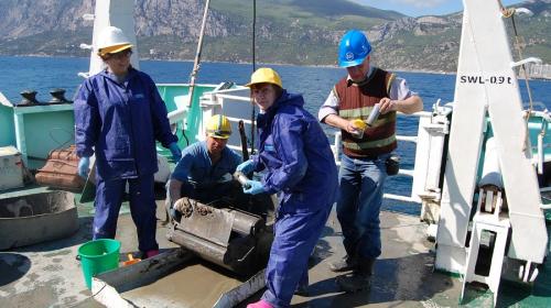 ForPost - Севастопольские ученые обладают уникальными данными об обитателях черноморских глубин