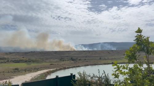 ForPost- Крупный пожар тушат у границы парка львов в Крыму