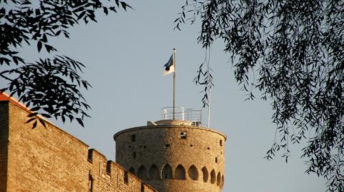ForPost- Эстония в 30 раз расширит охраняемую зону на границе с Россией