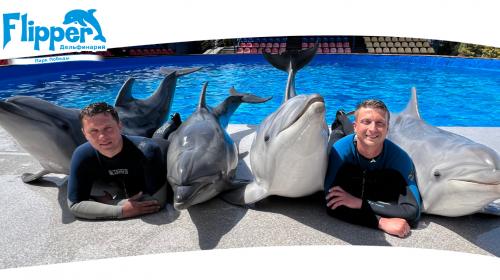 ForPost- Против выбросившего дельфинов в море собственника в Севастополе возбудили уголовное дело