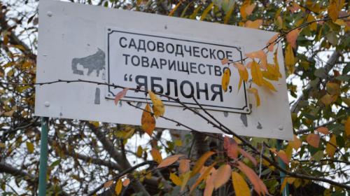 ForPost - Многоквартирные «курятники» на дачных участках взяли Севастополь в заложники 