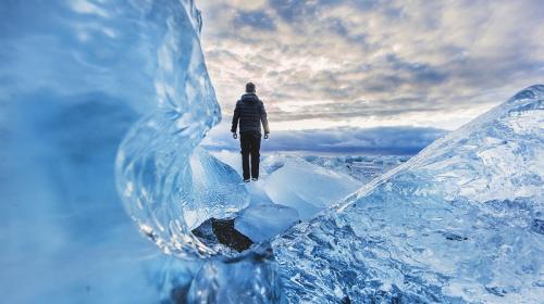 ForPost- Таяние арктических льдов угрожает привести к биологической катастрофе