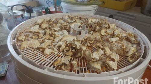 ForPost- Высокая кухня: как крымчанка начала готовить еду для участников СВО