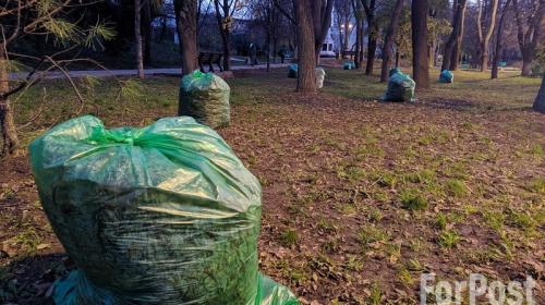 ForPost - Не грести под одну гребёнку: в Крыму советуют пересмотреть подход к уборке листьев