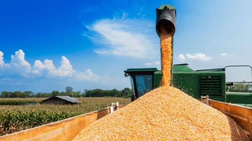 ForPost- Россия сообщила о готовности заместить украинское зерно