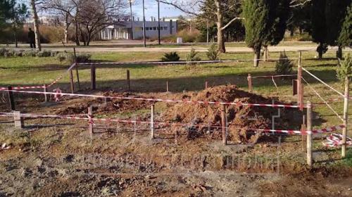 ForPost - Новые павильоны на газоне в парке Победы строятся законно ForPost - Новые павильоны на газоне в парке Победы строятся законно