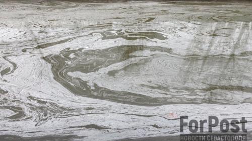 ForPost- Природоохрана изучает связь загрязнения реки в Крыму с разливом нефти в Тамани