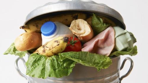 ForPost - Еда на выброс: почему школьные обеды летят в мусорники?