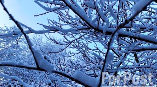 ForPost- Дожди с морозами придут в Крым в конце января