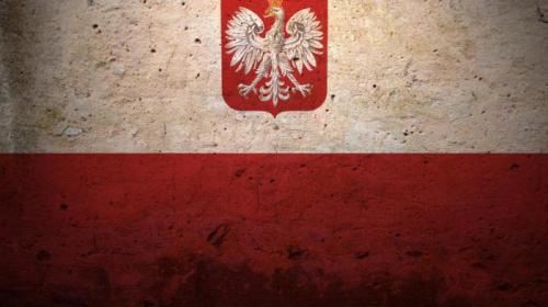ForPost - NDP: Польша стала наёмником, выполняющим 