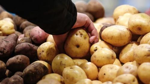 ForPost- Почему в России хотят уничтожить четверть урожая картошки