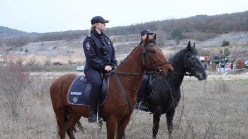 ForPost- Севастопольские полицейские лошади вышли «в свет»