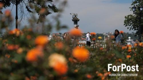 ForPost- Какими цветами украсят Севастополь в этом году 