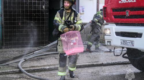 ForPost- В Севастополе из горящей квартиры вынесли человека и домашних животных