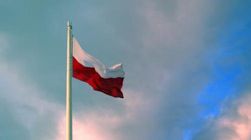 ForPost- В США назвали две причины, почему Польше необходимо поглотить Украину 
