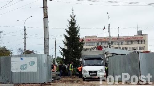ForPost- В Севастополе на месте скандального пластикового дерева появилась живая ель