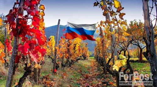 ForPost- Больше 50 «недружественных» объектов национализировали в Крыму за один день