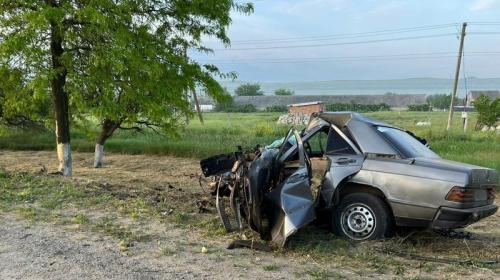 ForPost- В ДТП с деревом на востоке Крыма погиб водитель