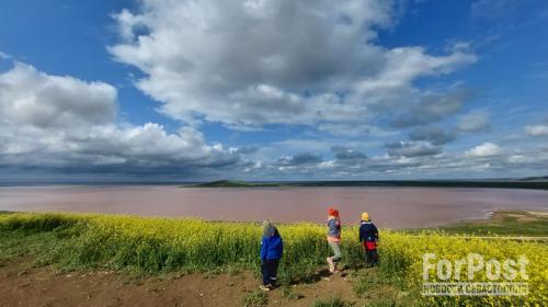 ForPost - В крымском заповеднике на мысе Опук усиливают ограничения для туристов