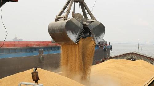ForPost- Россия начала наказывать Украину за срыв зерновой сделки