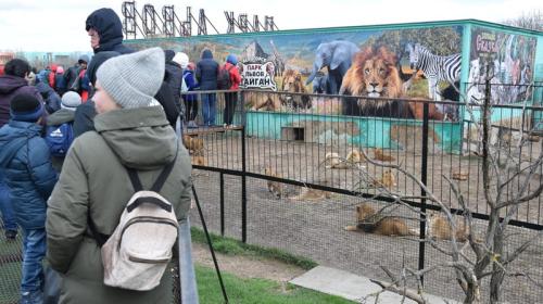 ForPost - Владелец крымских зоопарков вспомнил: животных из Новой Каховки не вывозил