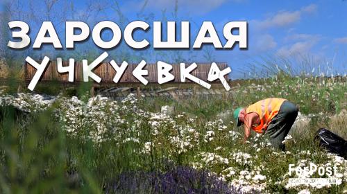 ForPost- Построенный на деньги Москвы севастопольский парк зарастает сорняками