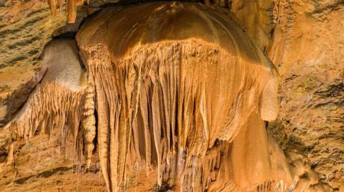 ForPost- Туристам покажут доисторические окаменелости в одной из заповедных пещер Крыма 