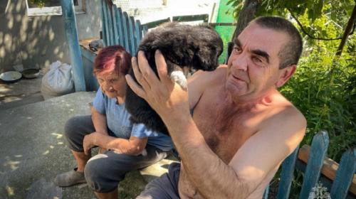 ForPost- В Севастополе спасатели сохранили еще одну жизнь