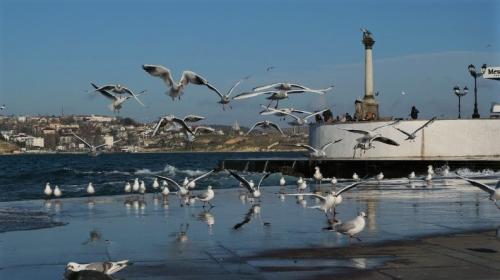 ForPost- Севастополь получил федеральные полмиллиарда на поддержку туристической отрасли