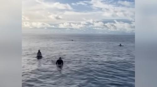 ForPost- Туристов, пропавших в море, нашли спустя 36 часов